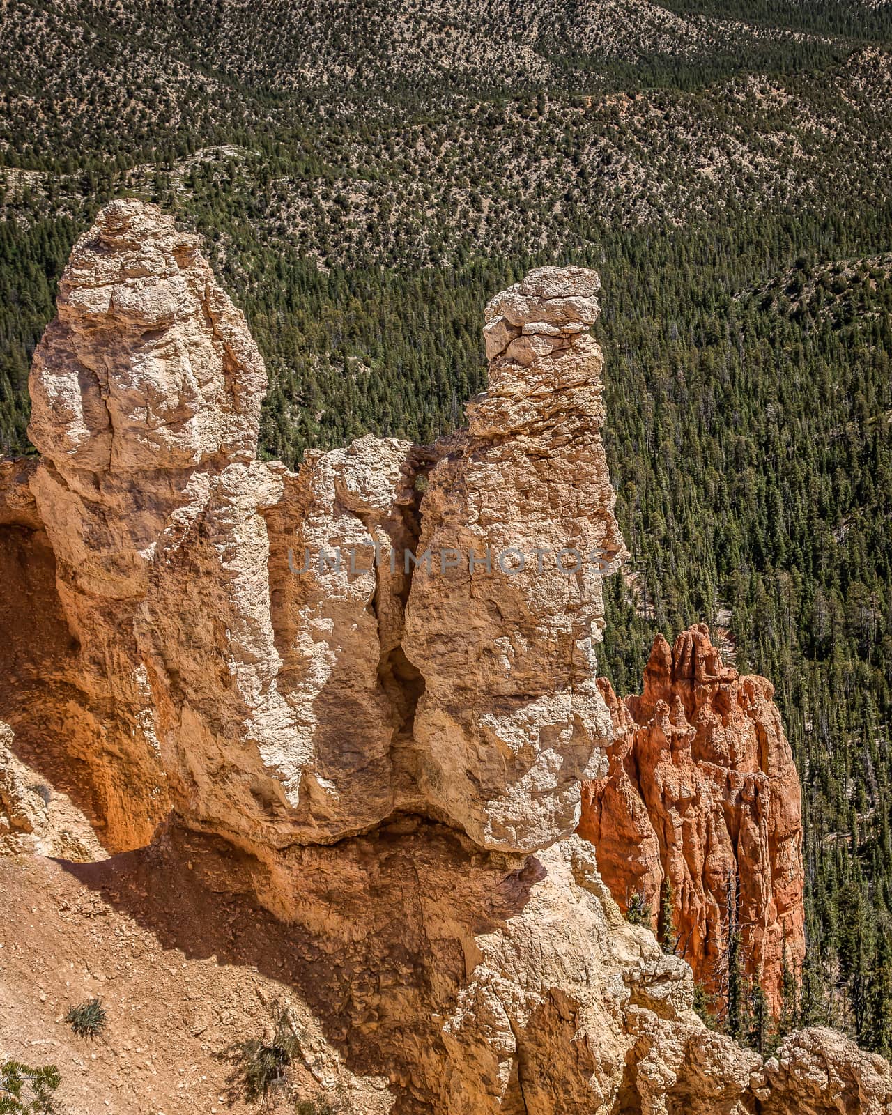 Bryce Canyon by teacherdad48@yahoo.com