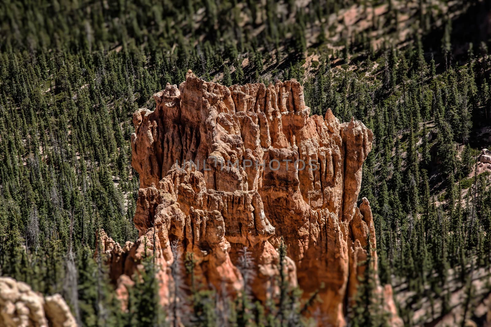 Bryce Canyon National Park in Utah is a marvel of rock formations (hoodoos) hiking trails and scenic views.