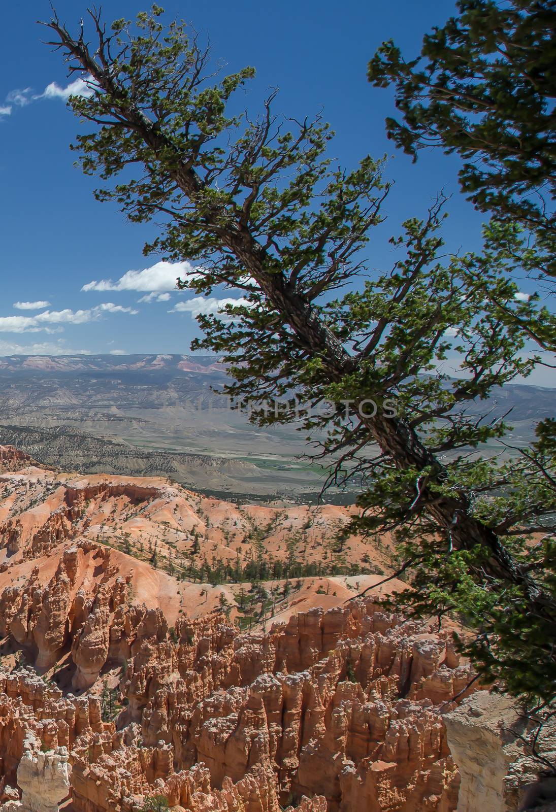 Bryce Canyon National Park in Utah is a marvel of rock formations (hoodoos) hiking trails and scenic views.