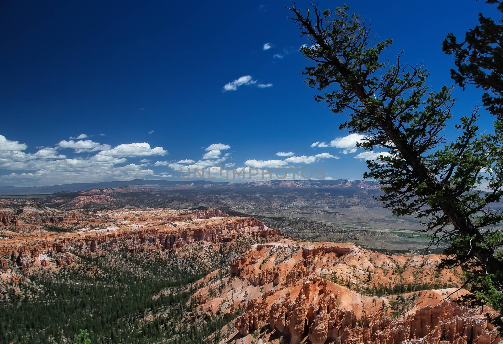 Bryce Canyon National Park in Utah is a marvel of rock formations (hoodoos) hiking trails and scenic views.