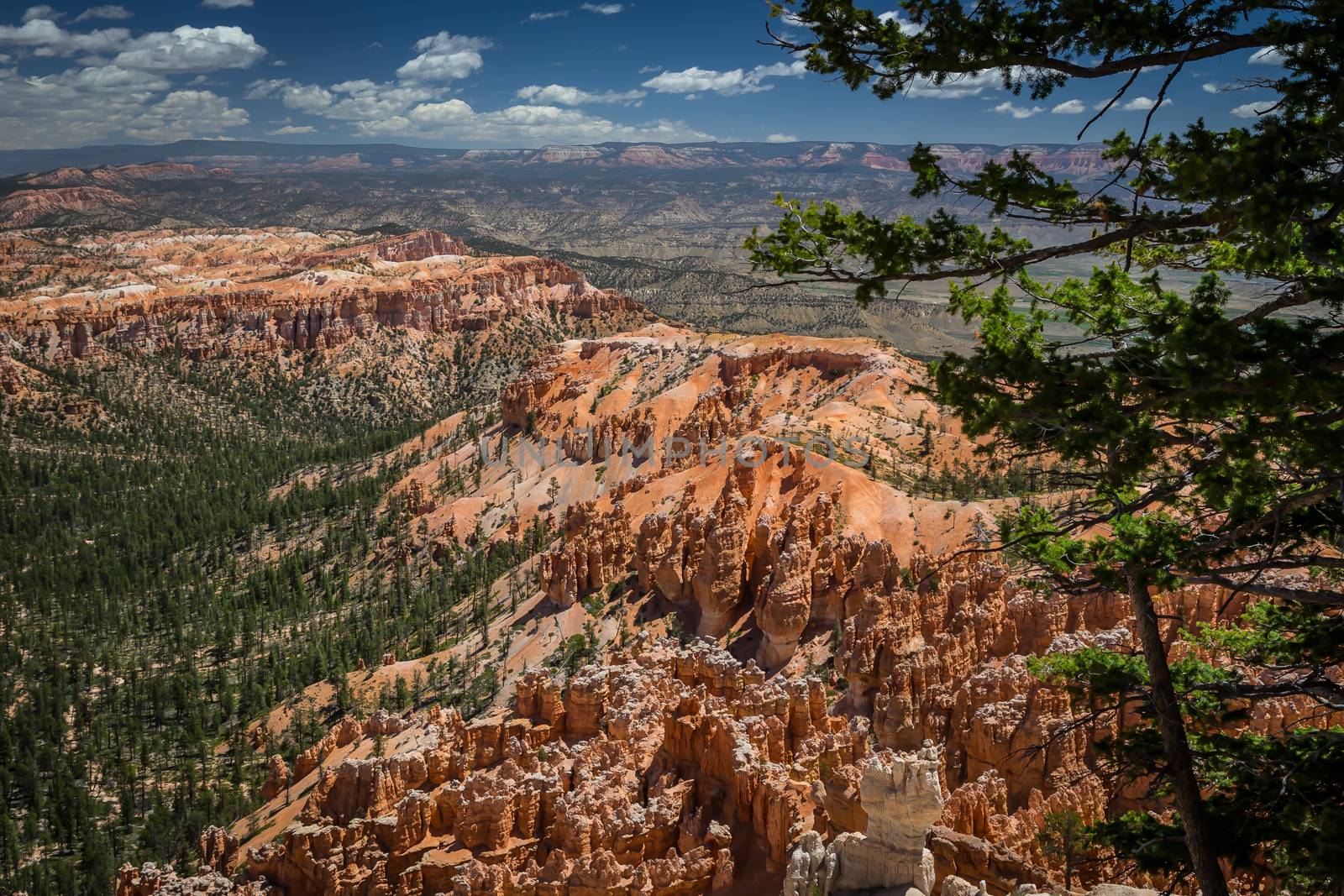 Bryce Canyon National Park in Utah is a marvel of rock formations (hoodoos) hiking trails and scenic views.