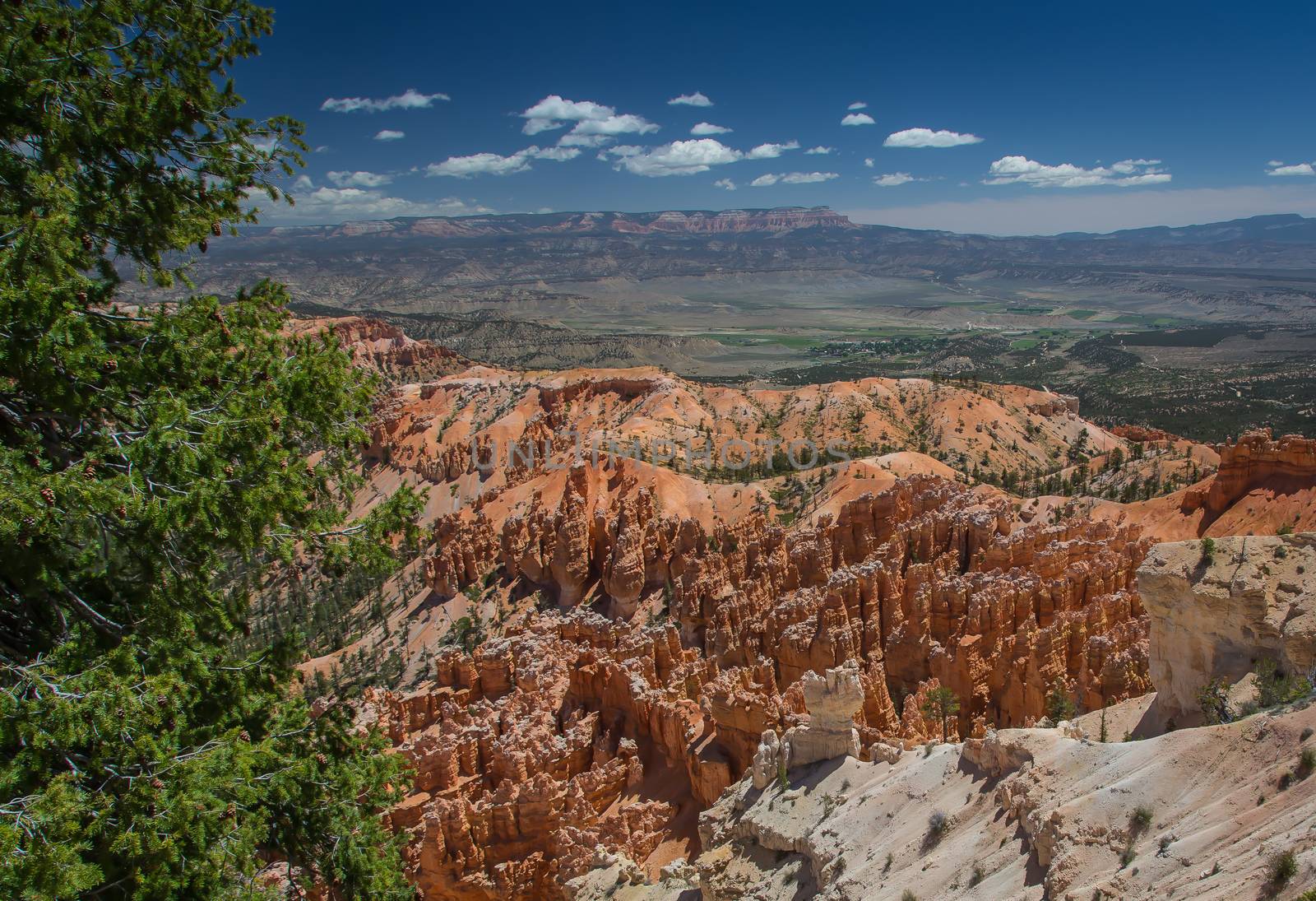 Bryce Canyon by teacherdad48@yahoo.com