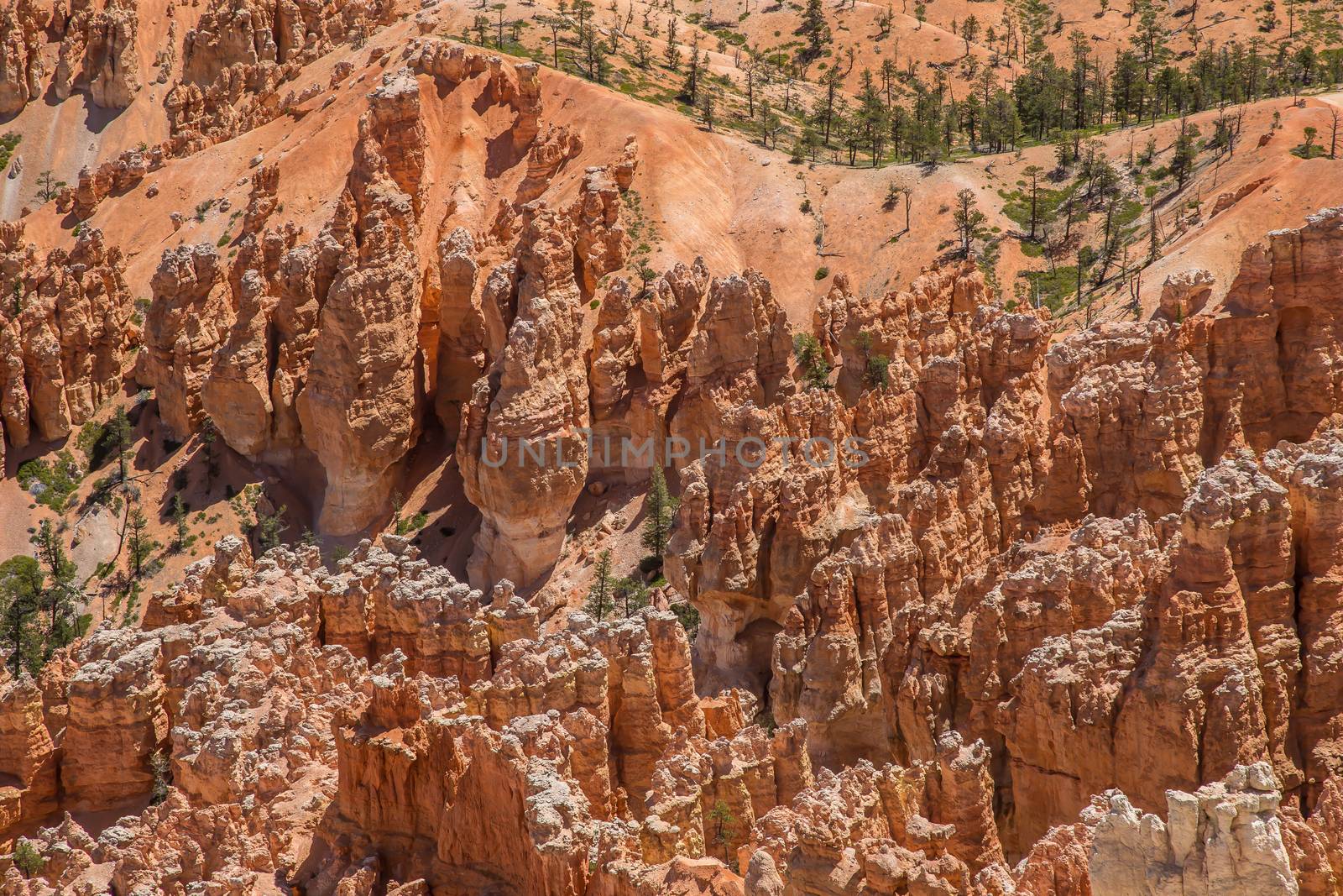 Bryce Canyon Hoodoos by teacherdad48@yahoo.com