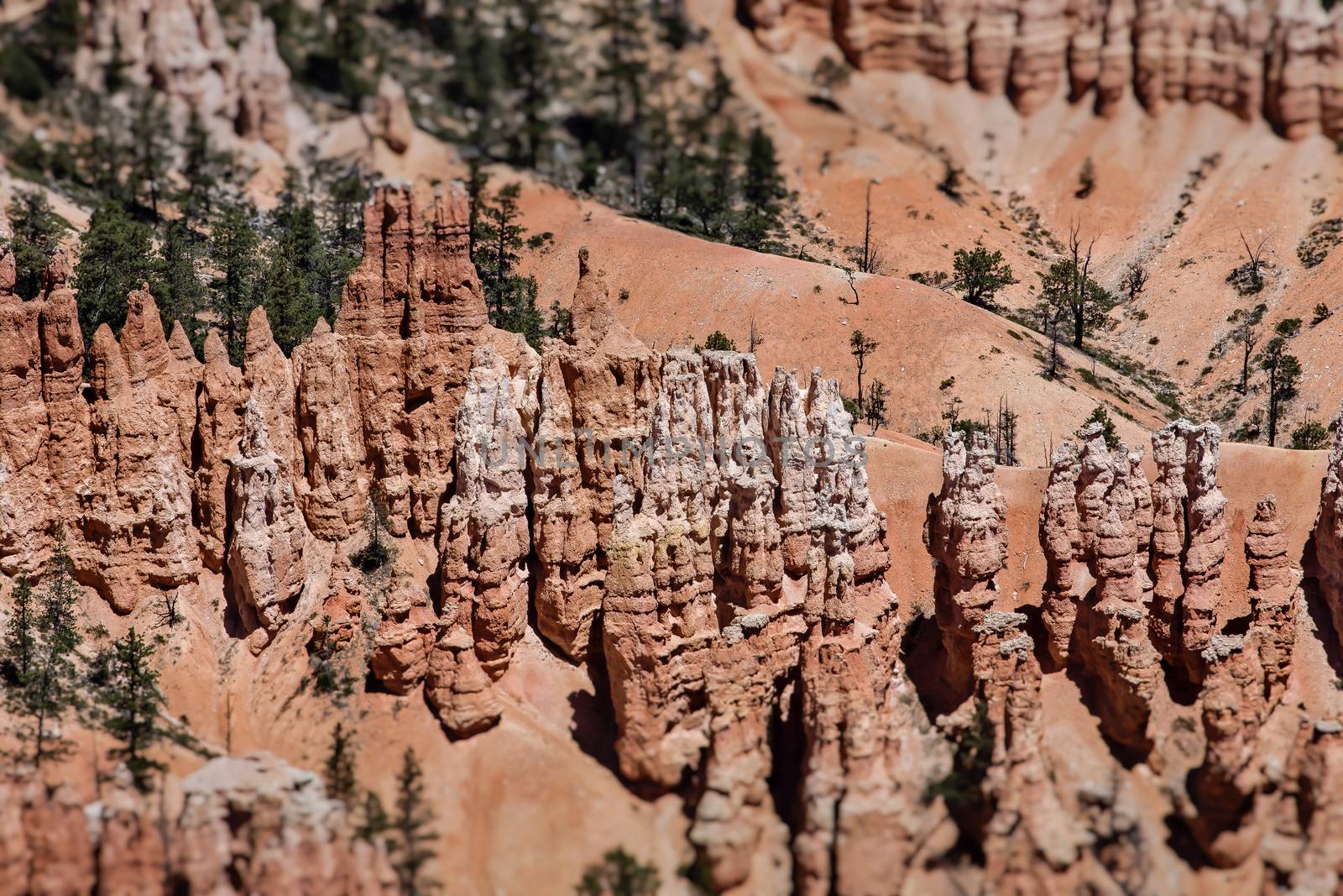 Bryce Canyon National Park in Utah is a marvel of rock formations (hoodoos) hiking trails and scenic views.