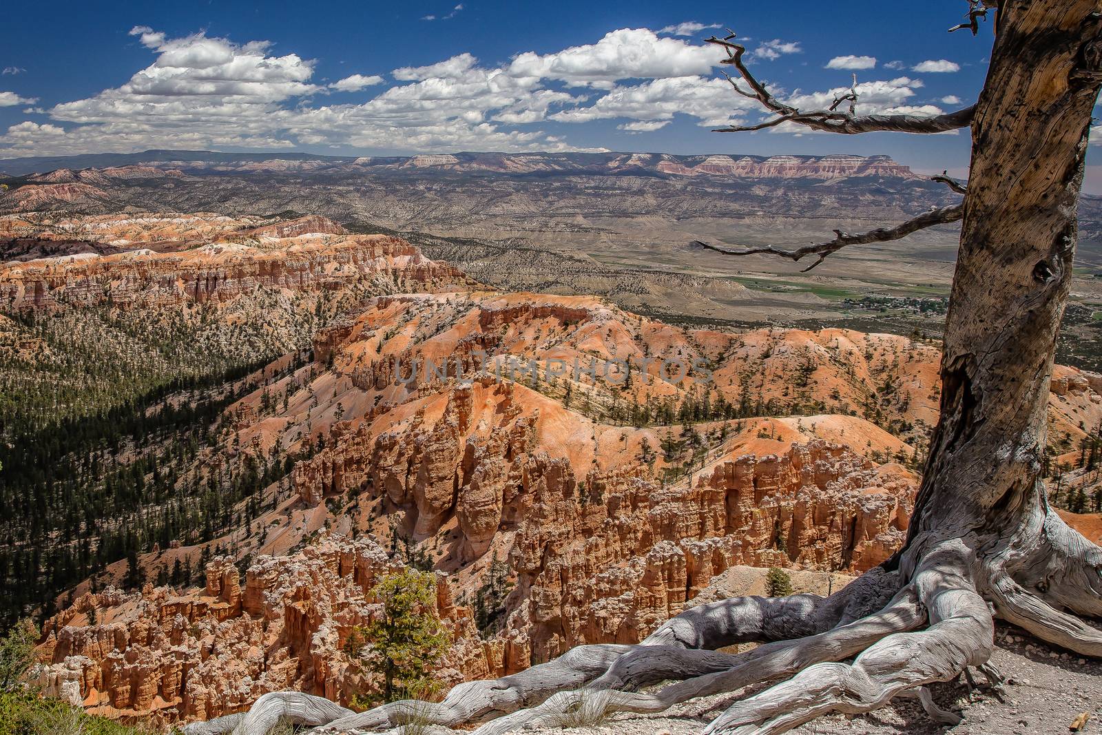 Bryce Canyon National Park in Utah is a marvel of rock formations (hoodoos) hiking trails and scenic views.