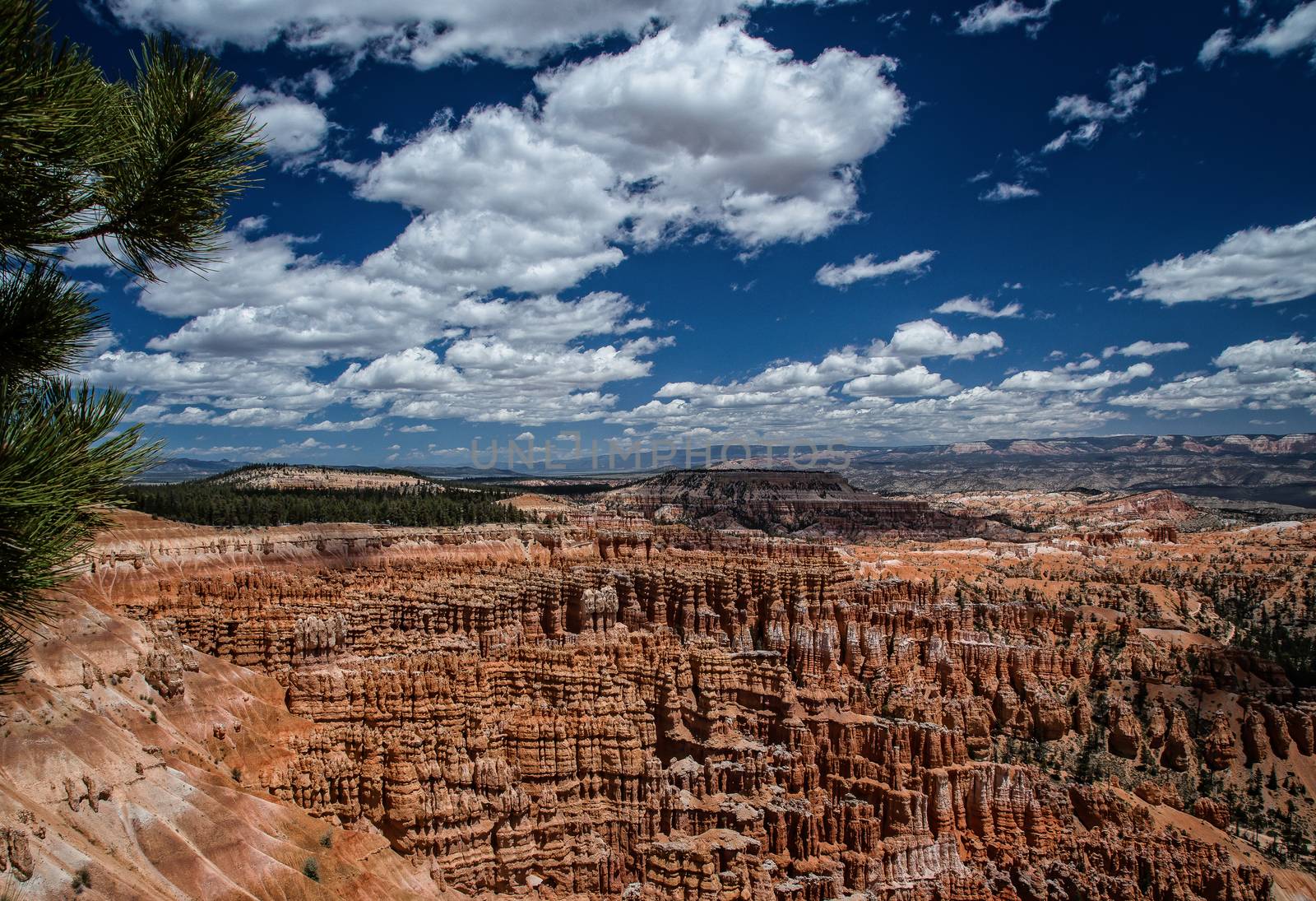 Bryce Canyon National Park in Utah is a marvel of rock formations (hoodoos) hiking trails and scenic views.