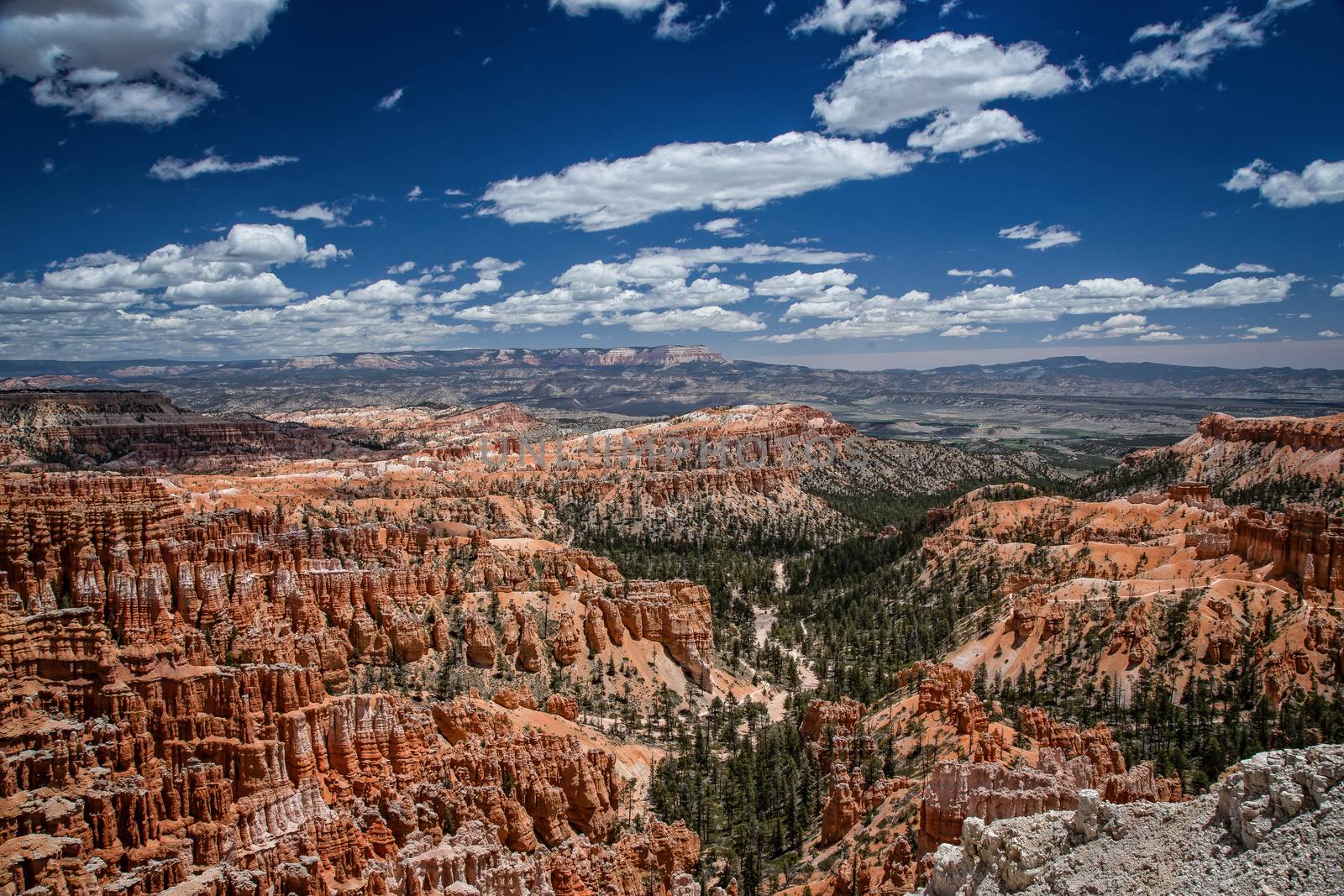 Bryce Canyon National Park in Utah is a marvel of rock formations (hoodoos) hiking trails and scenic views.