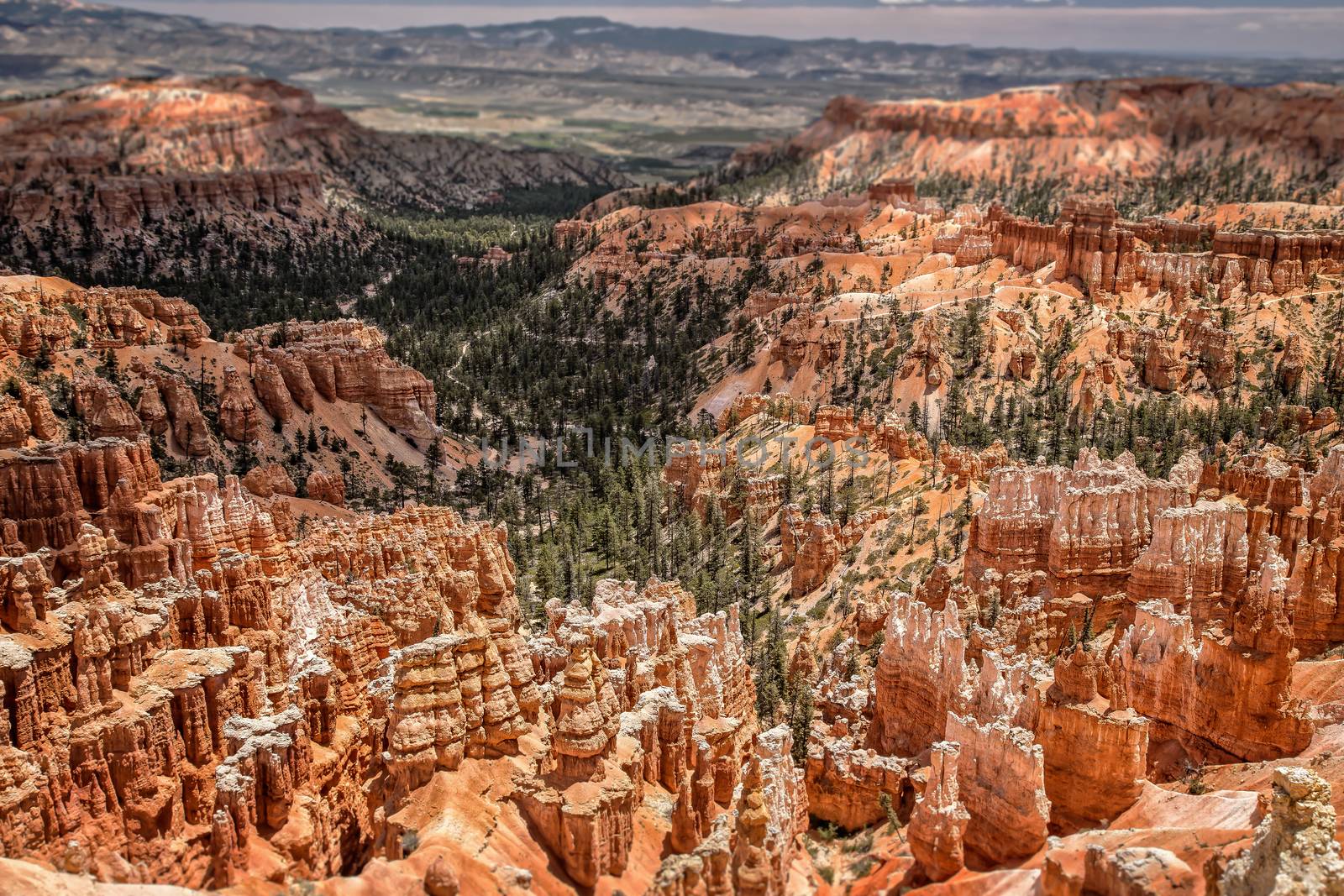 Hoodoos in Bryce Canyon by teacherdad48@yahoo.com