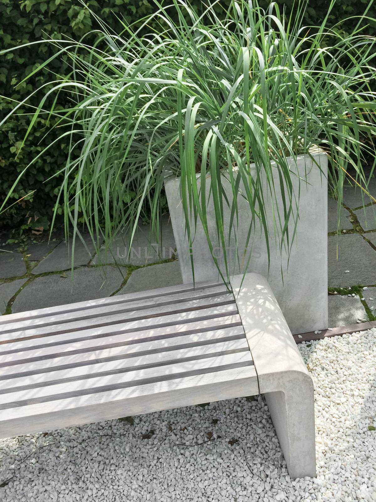 Detail of a garden with decorative grass and bench. Contemporary design.