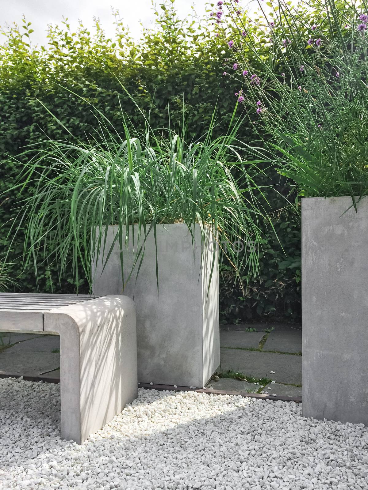 Garden with decorative grass, concrete and stone by anikasalsera