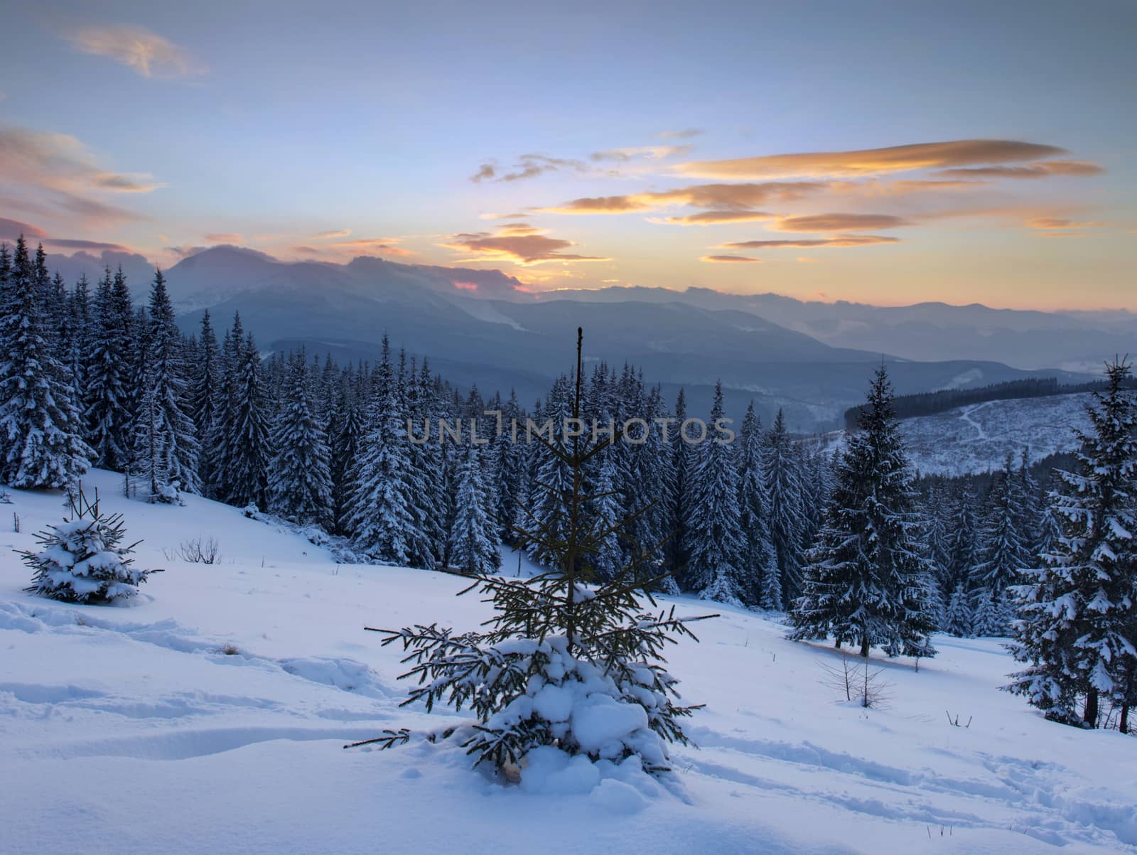 Fantastic evening landscape glowing by sunlight. Dramatic wintry by dolnikow