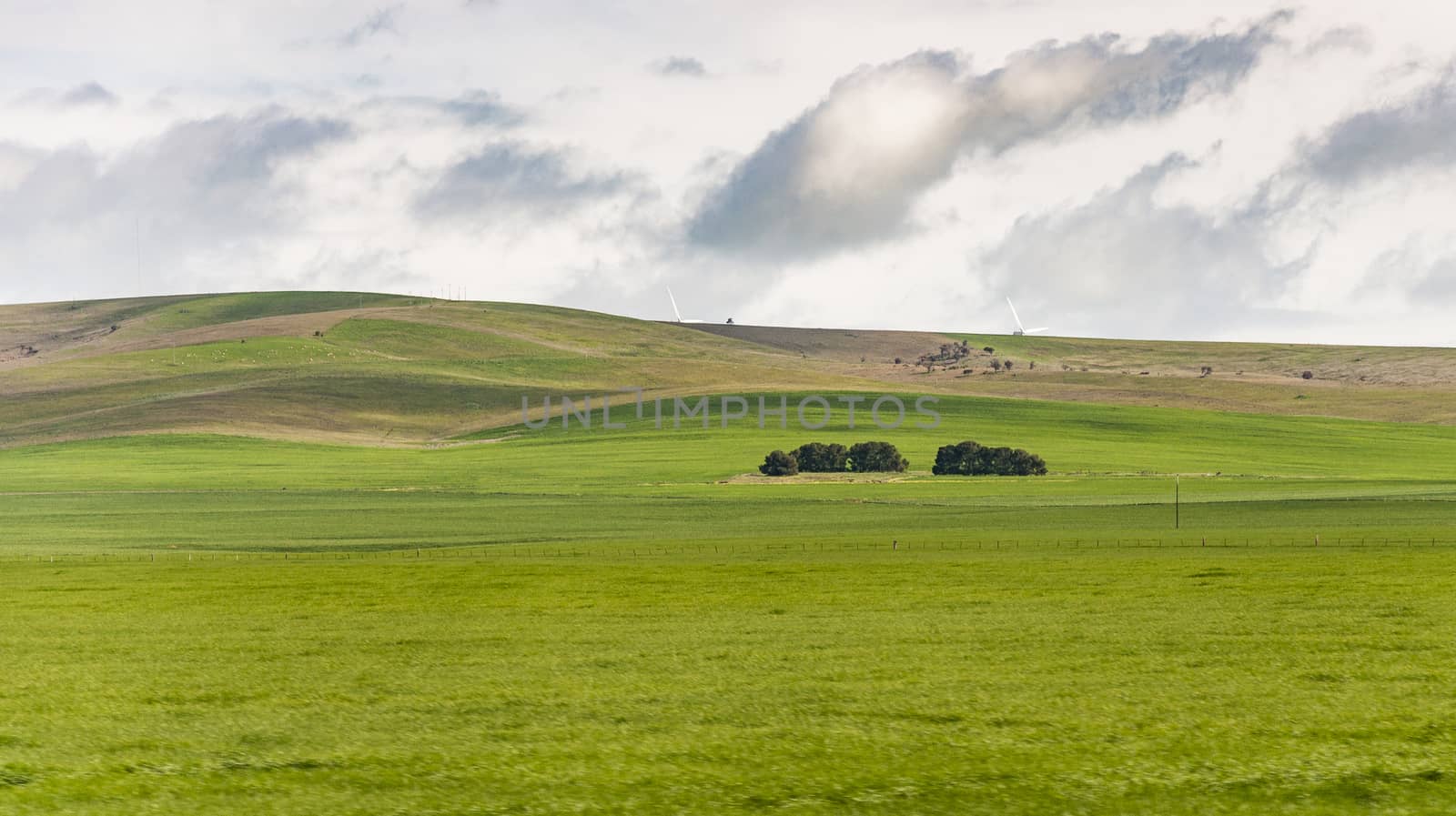 hill and grass in the australian landscape, south australia