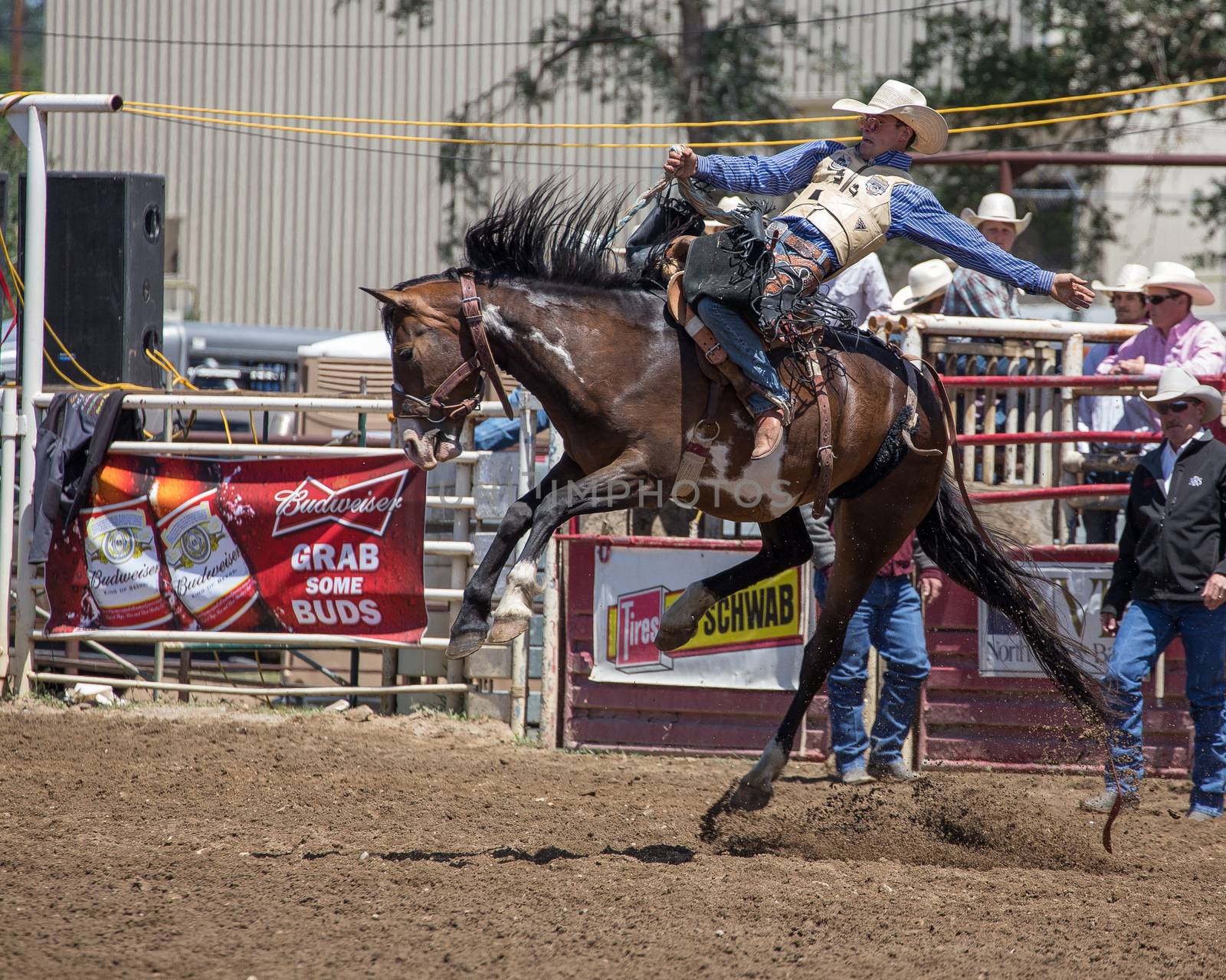 A cowboy is riding his bronc good and strong. The rodeo in Cottonwood, California is a popular event on Mother's Day weekend in this small northern California town. This photo was taken in May, 2014.