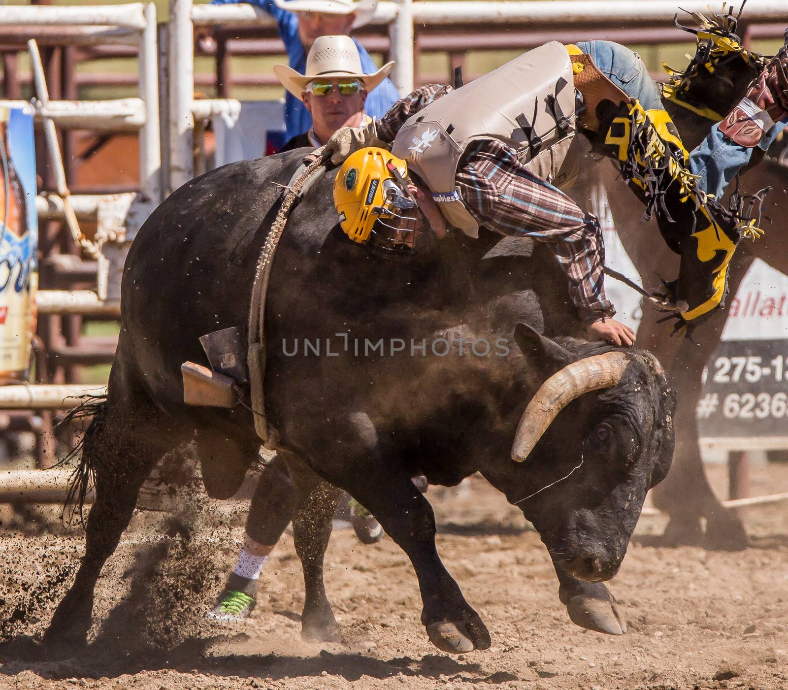 A bull rider in a rodeo competition. The rodeo in Cottonwood, California is a popular event on Mother's Day weekend in this small northern California town.
Photo taken on: May 10th, 2014