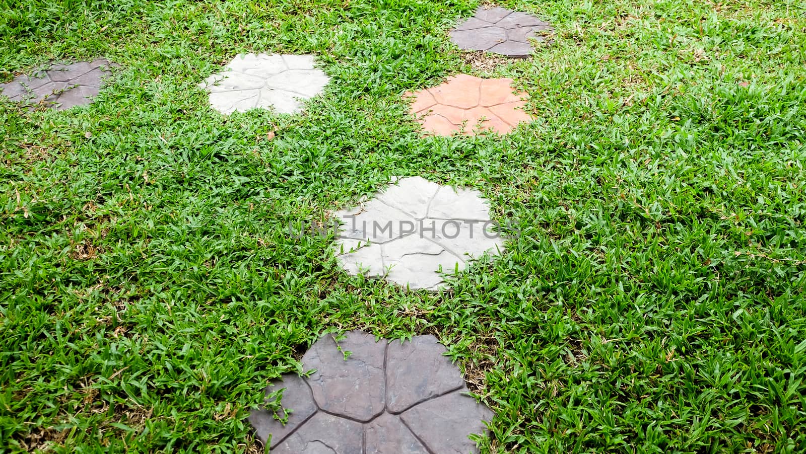 Natural Green Grass with Stone, for Background and Texture
