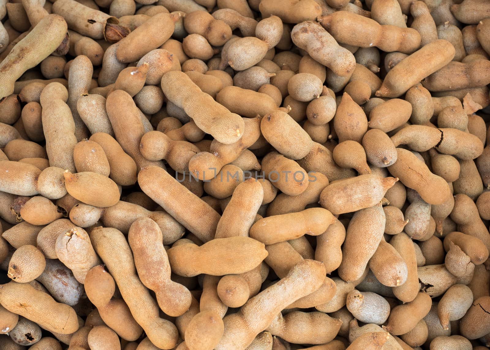 Group of ripe tamarind pods select focus