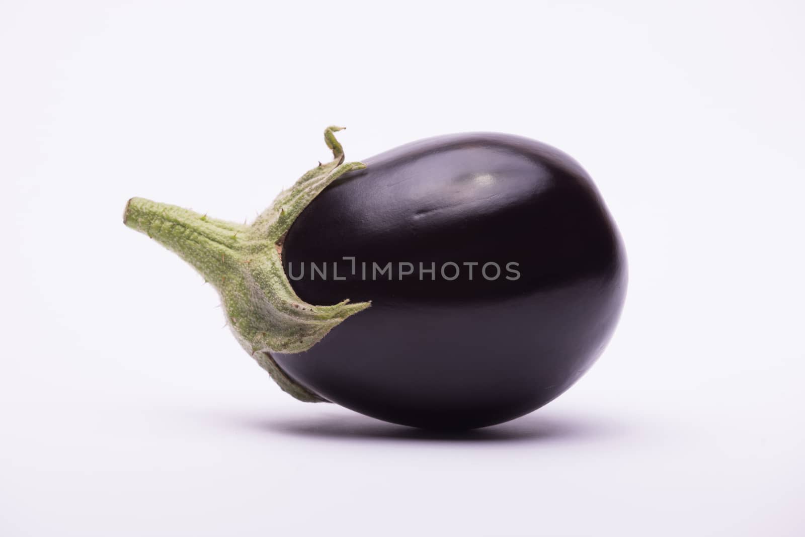 Aubergine on white background