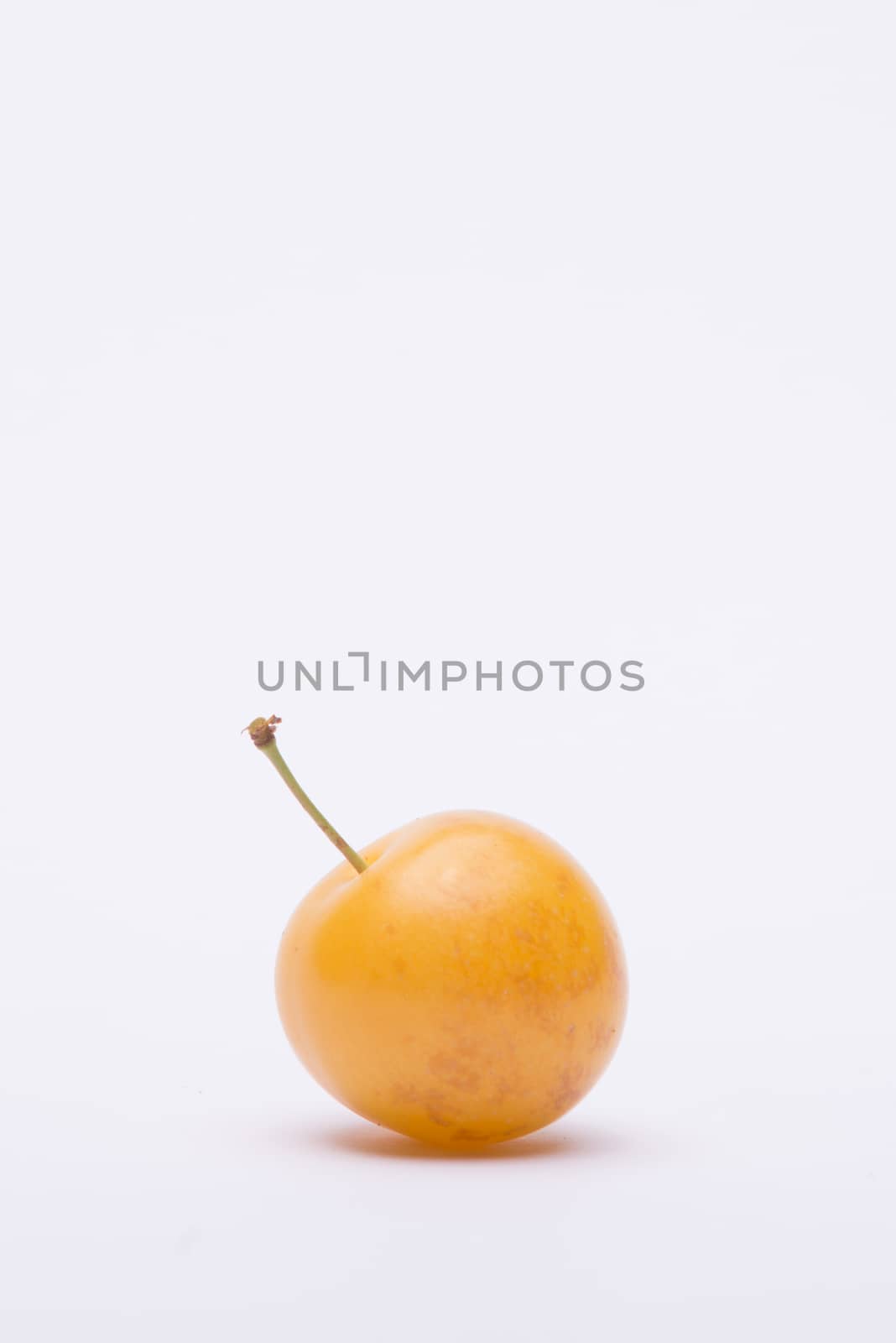 Plum on white background