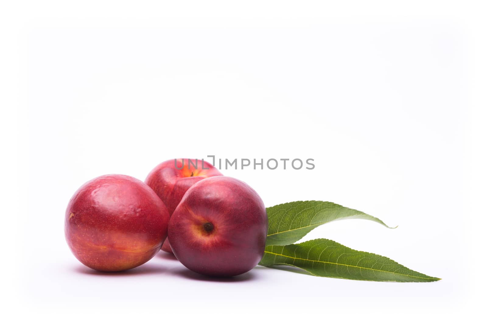 Nectarine on a white background