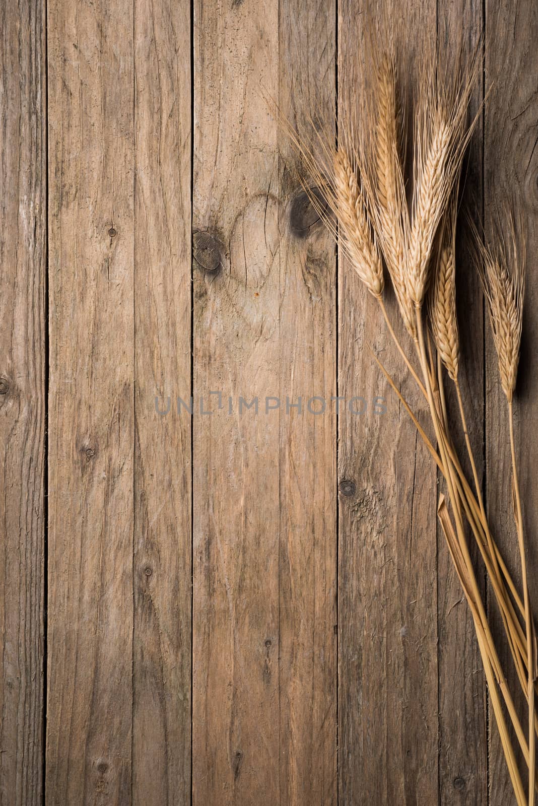 Ear grains on wood table