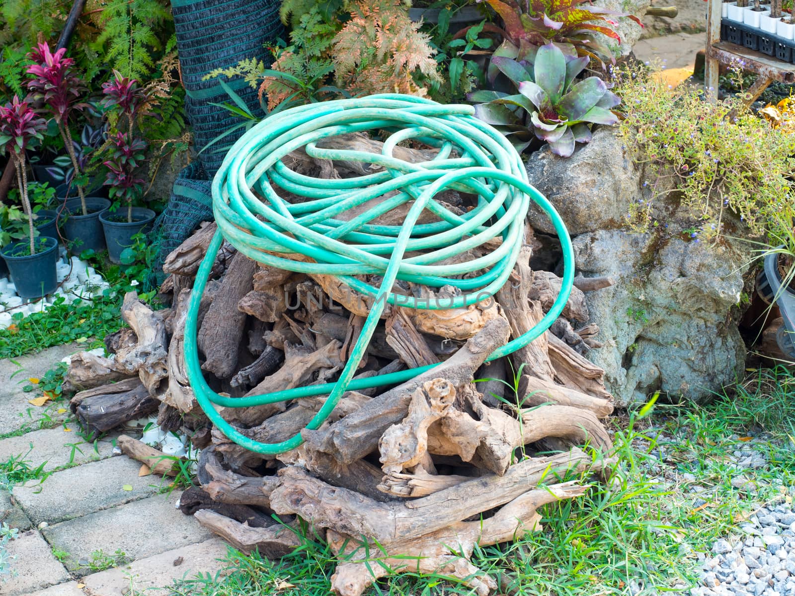 green garden hose on the wood pile in garden