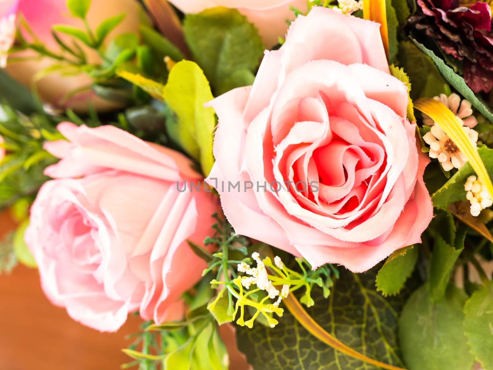 Pink roses flowers. blur background