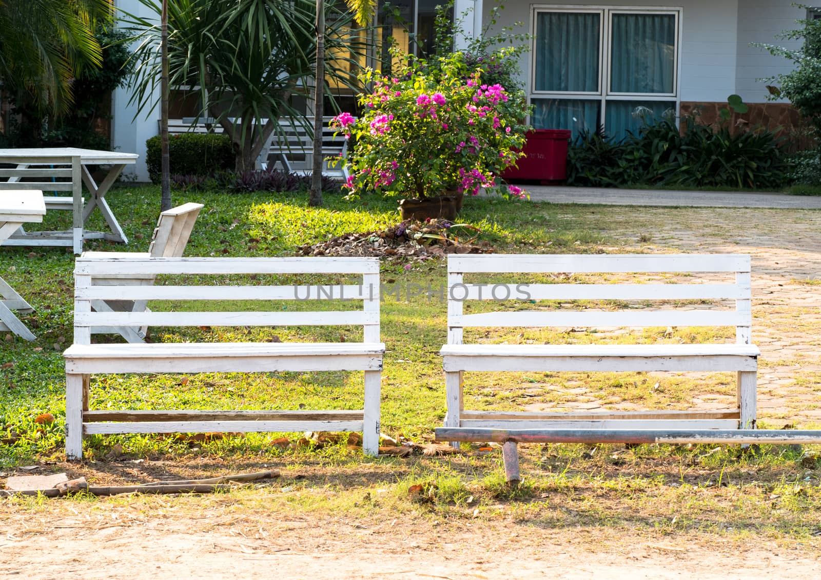 Old Wooden Bench in the garden