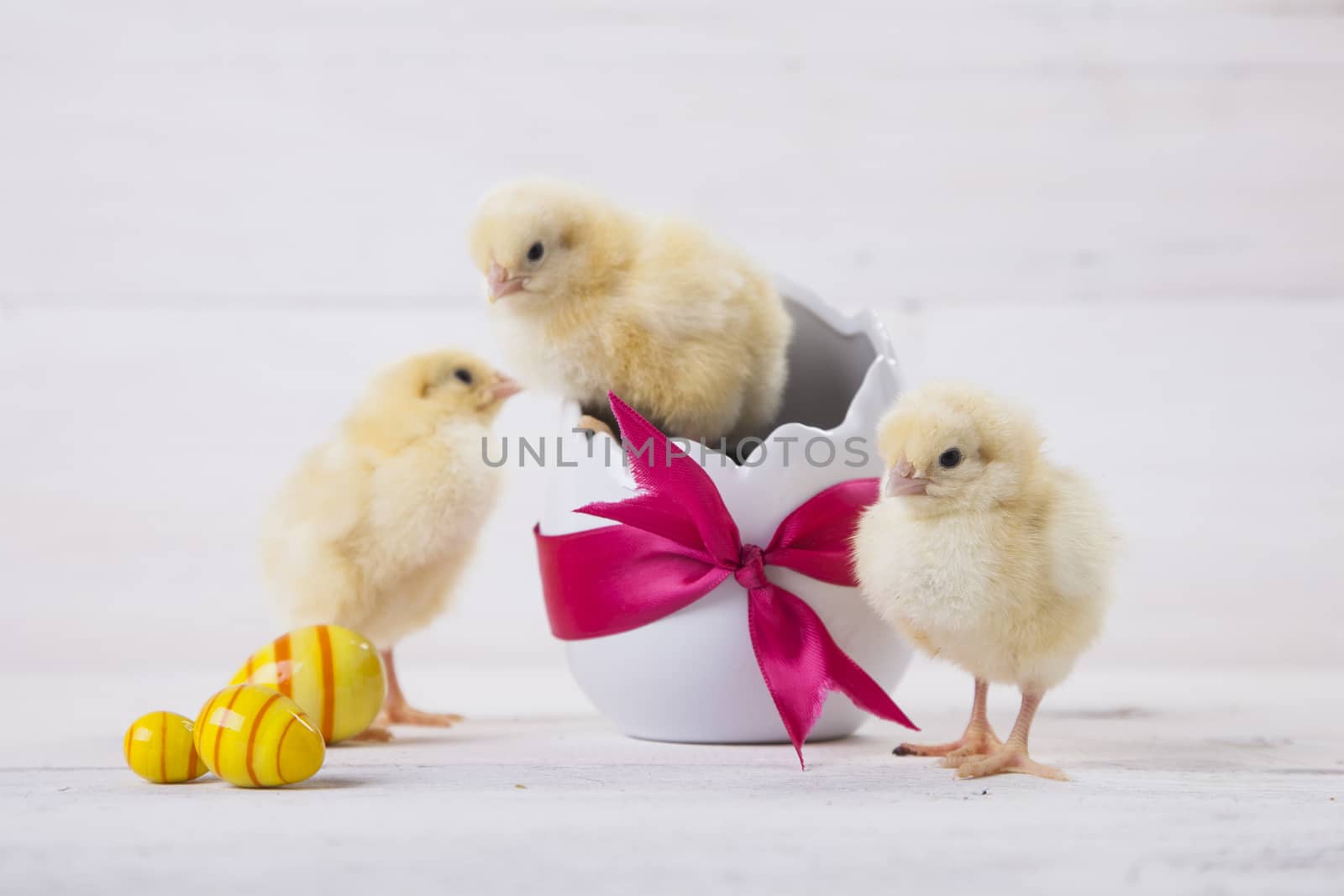 Easter chicken, eggs and decoration in vintage sytle white wooden background
