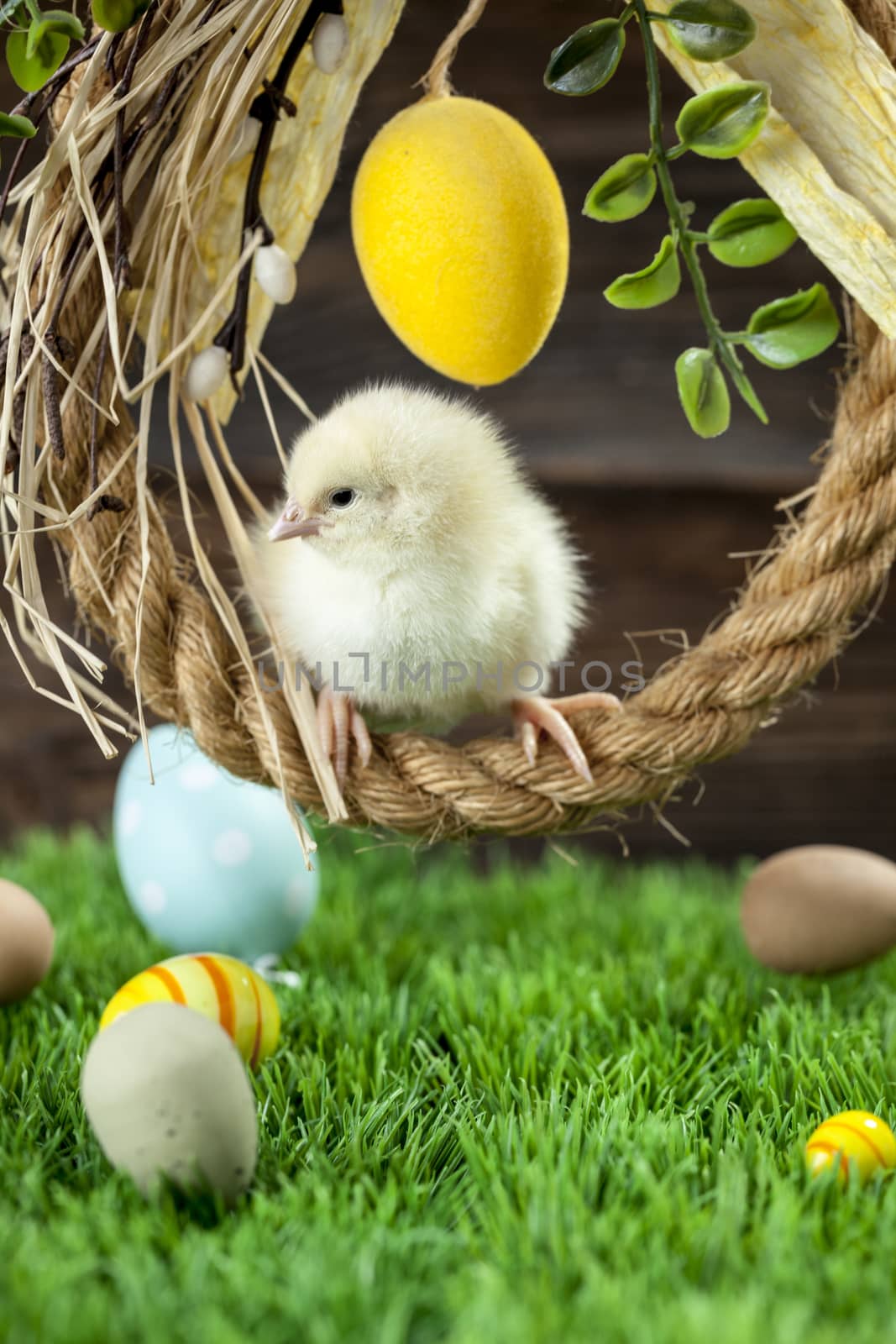 Easter chicken, eggs and decoration in vintage sytle wooden background