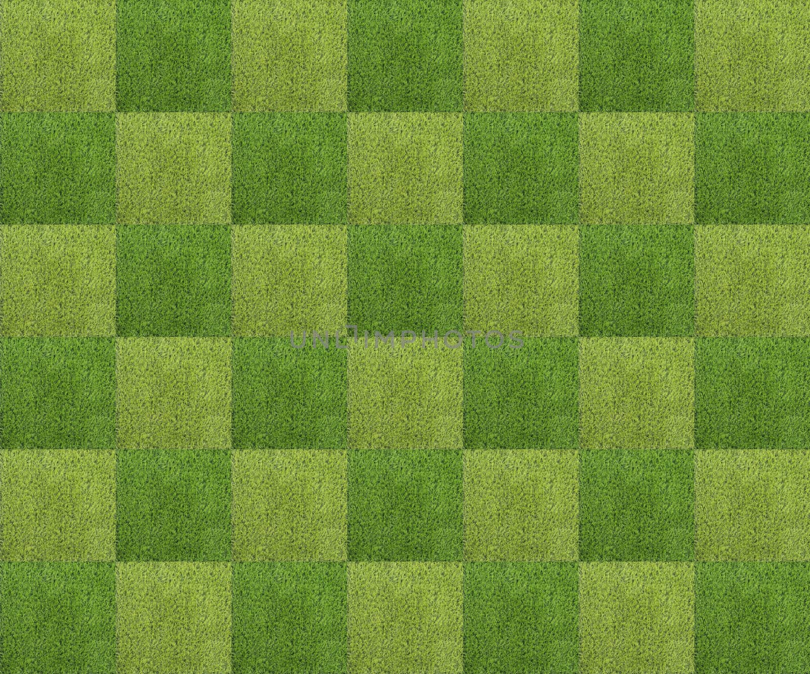 Green grass background texture