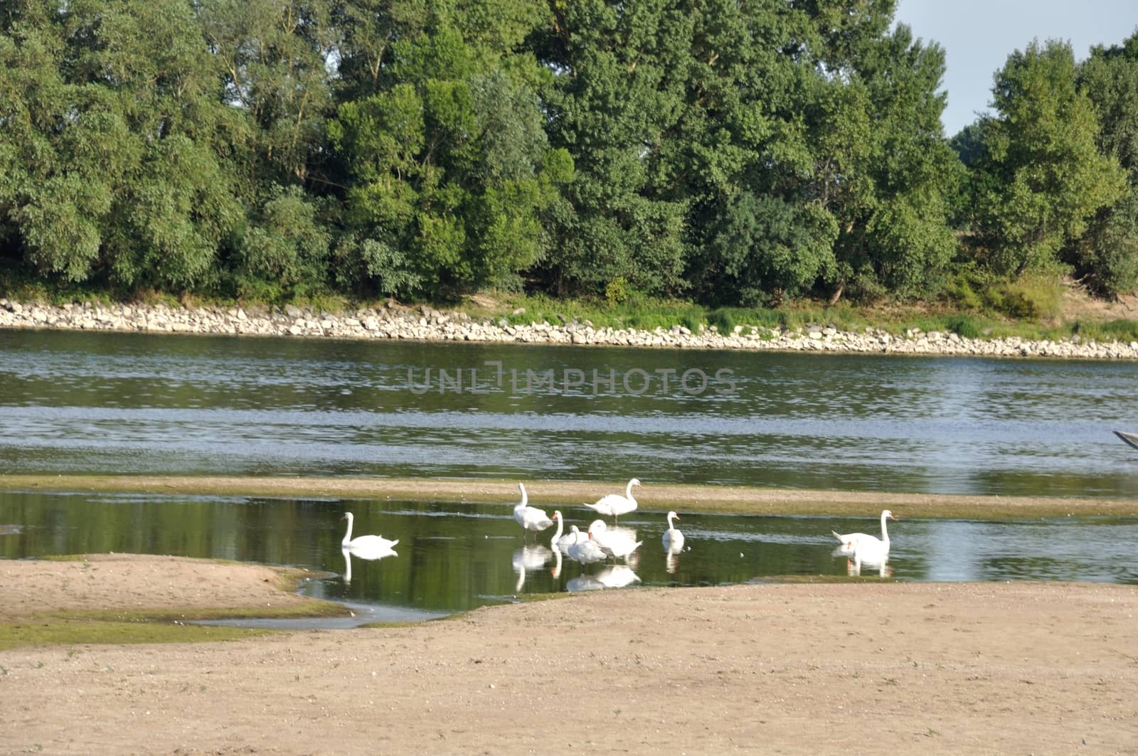 Loire river in Anjou