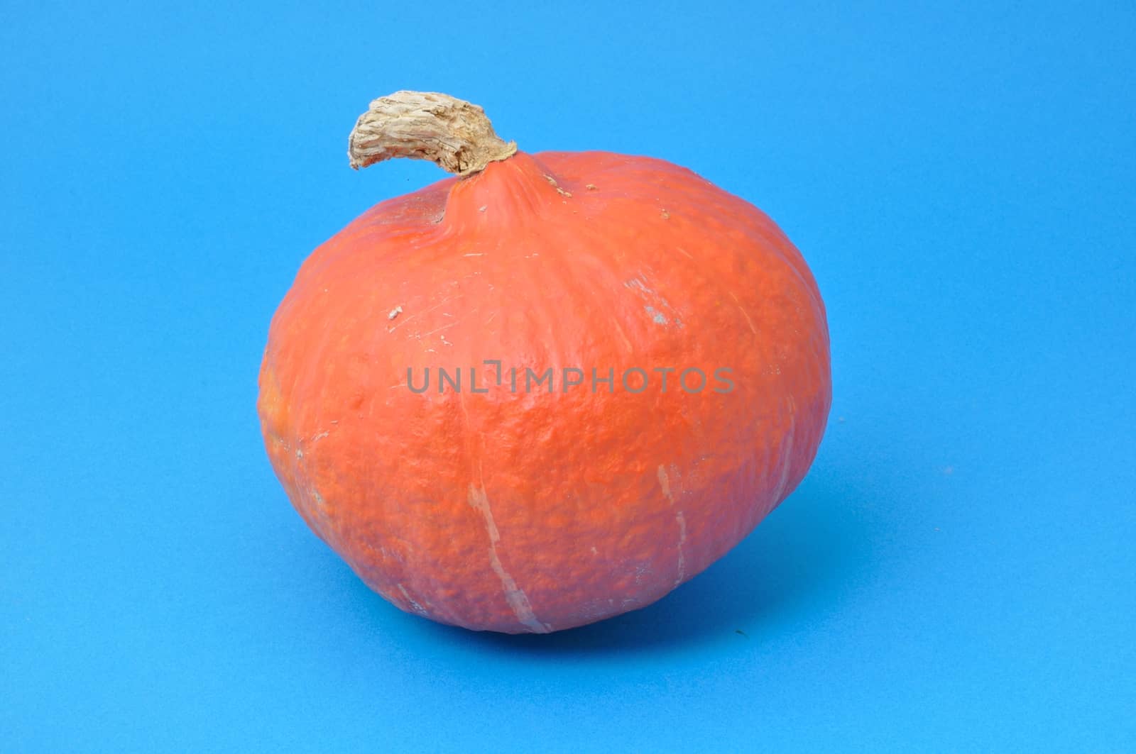 Pumpkin