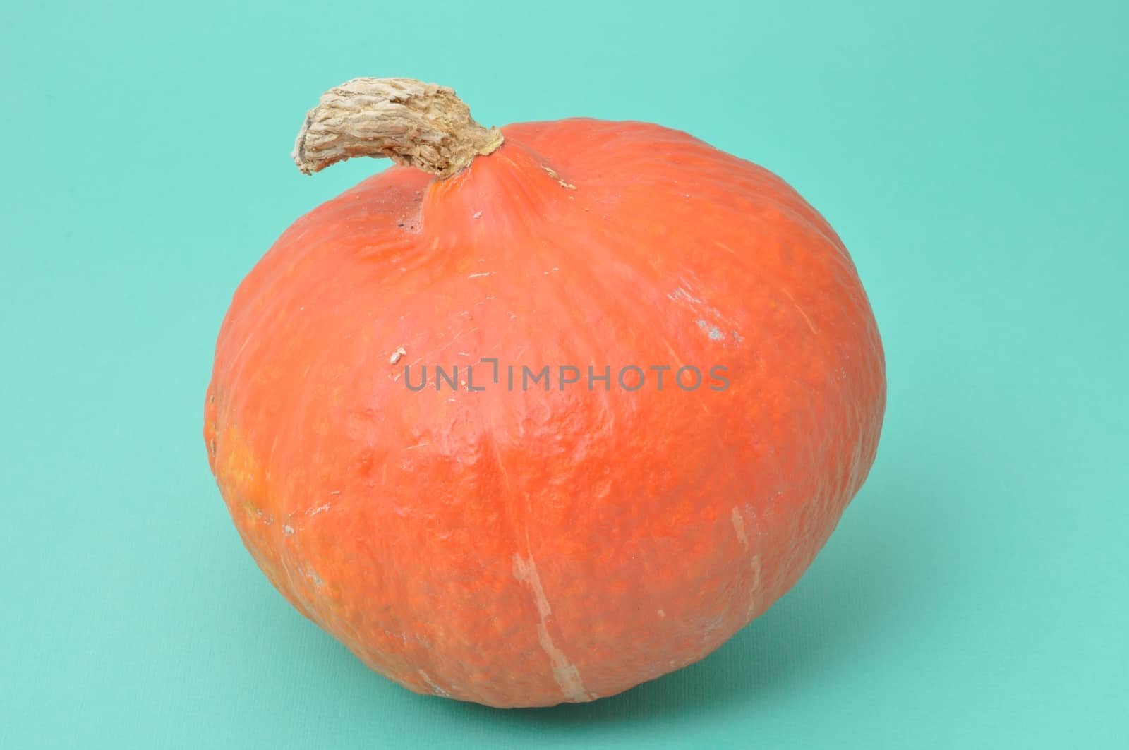 Pumpkin