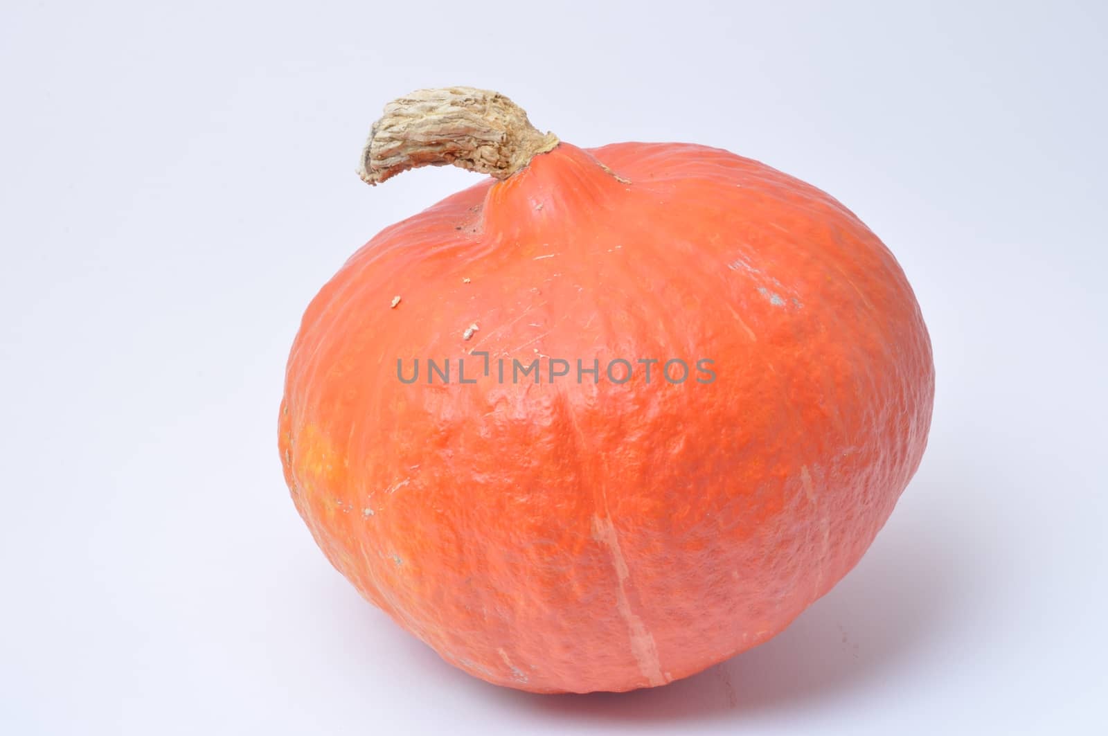 Pumpkin