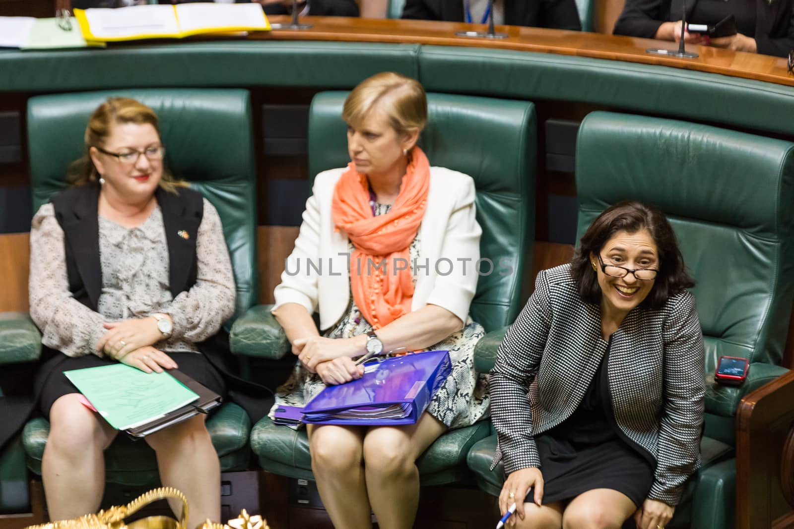 MELBOURNE/AUSTRALIA - FEBRUARY 9: The Minister for Industry, Energy & Resources reacts to a question as The Victorian Parliament resumes in 2016