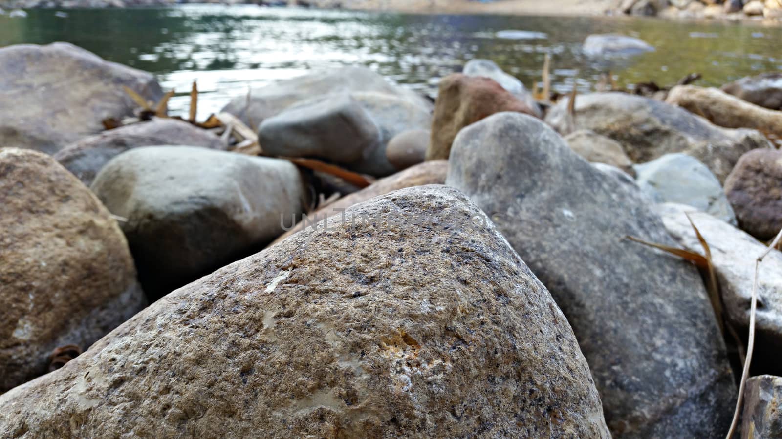The stones around the lake and some of dry dropped leave