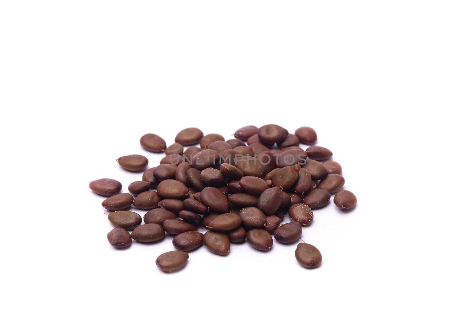 carats or seeds carob by crampinini