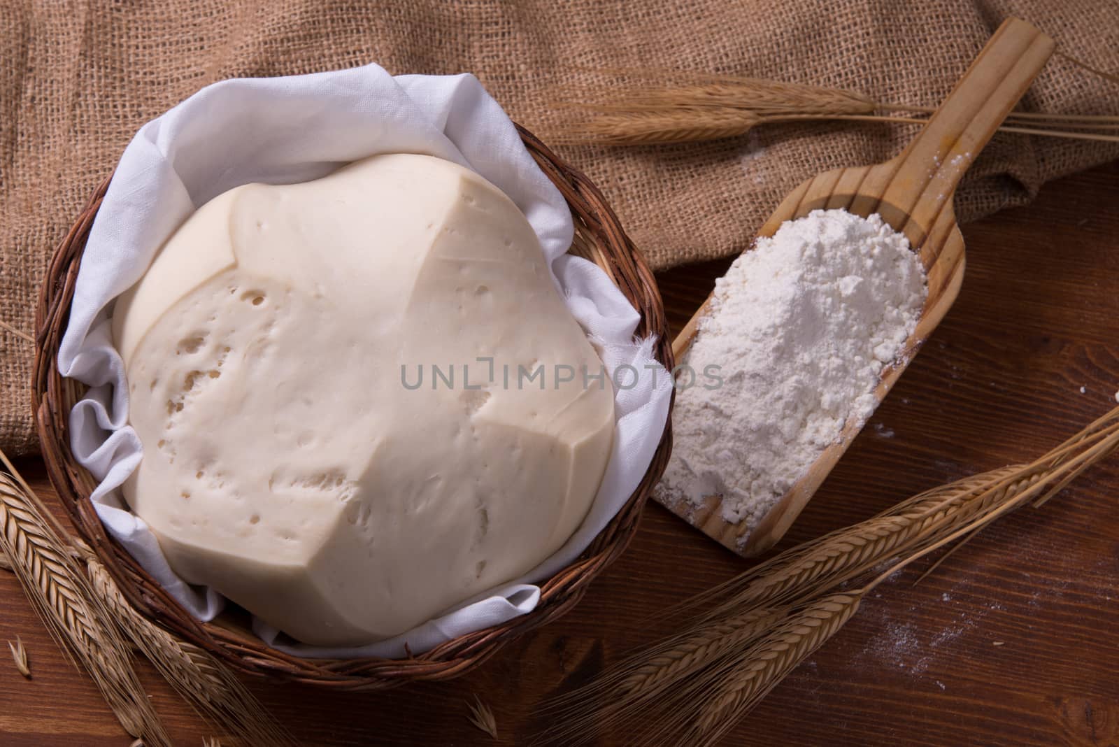 Mother Yeast, Natural Yeast on still life composition with flour and wheat