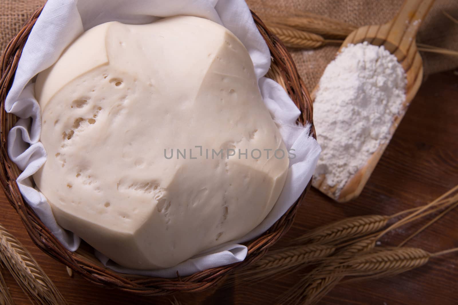 Mother Yeast, Natural Yeast on still life composition with flour and wheat