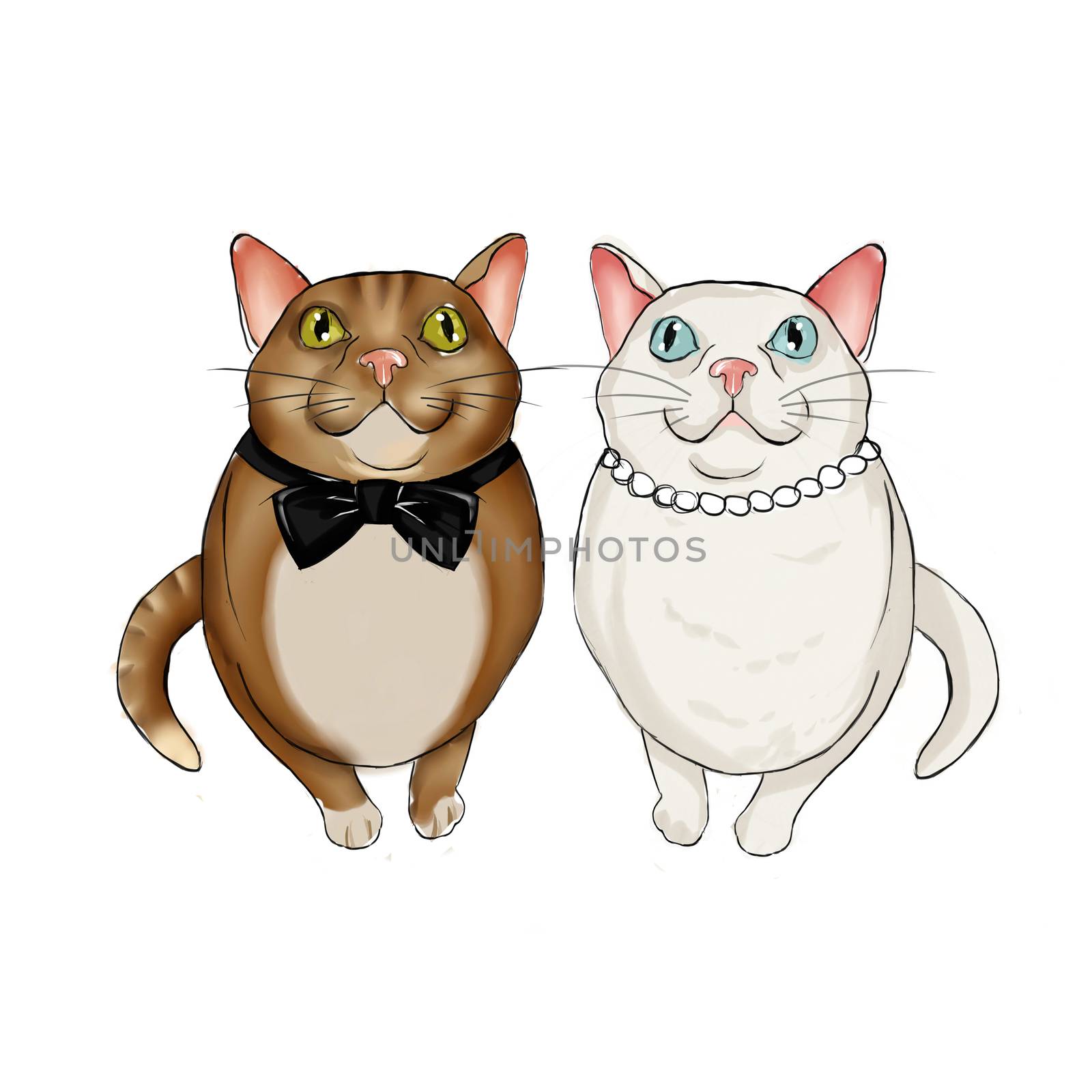 Adorable couple of felines wearing bridal accessories by GGillustrations