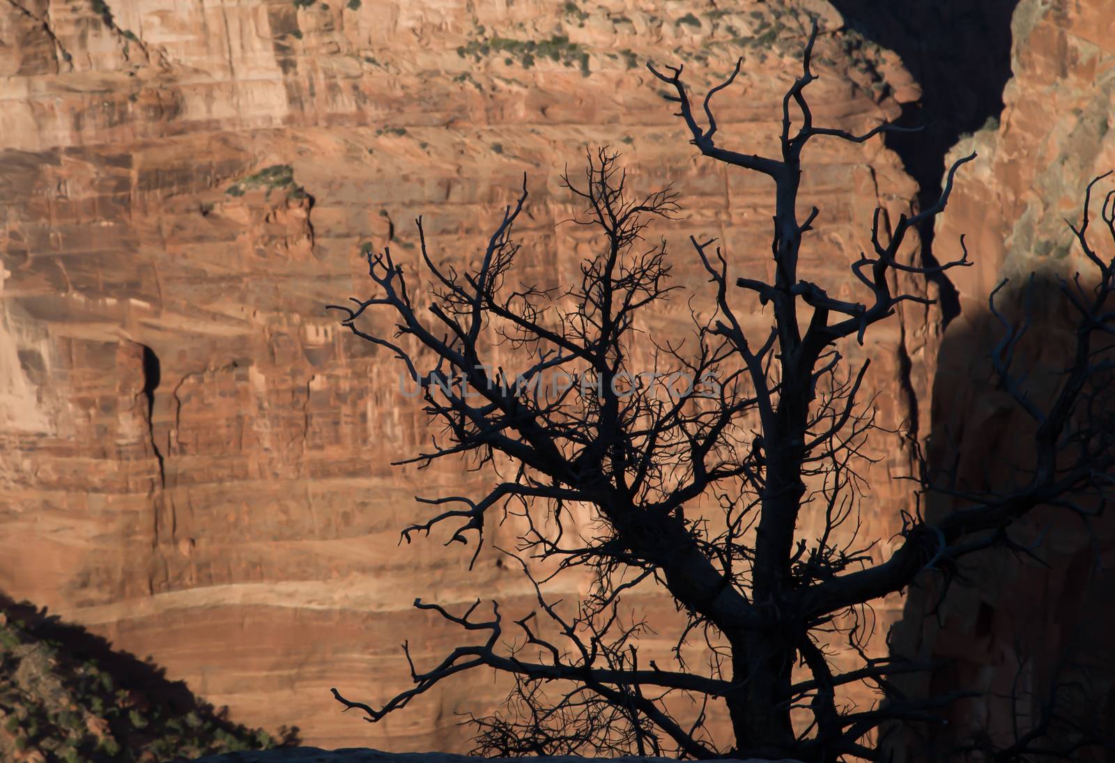 ancient native American trails and dwellings can all be found in Canyon de Chelly National Monument in Arizona.