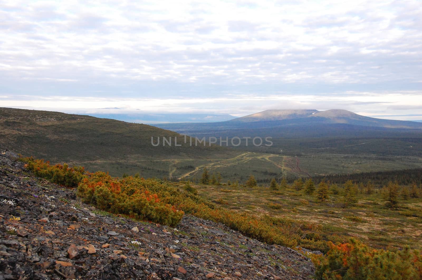 Mountain at tundra area, Kolyma region, Yakutia, Russia