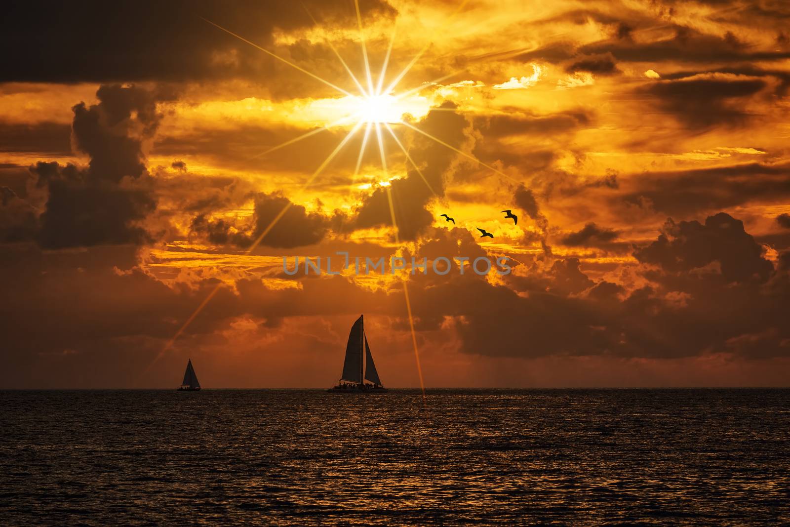 Silhouetted boat sailing along its journey against a vivid colorful sunset with birds