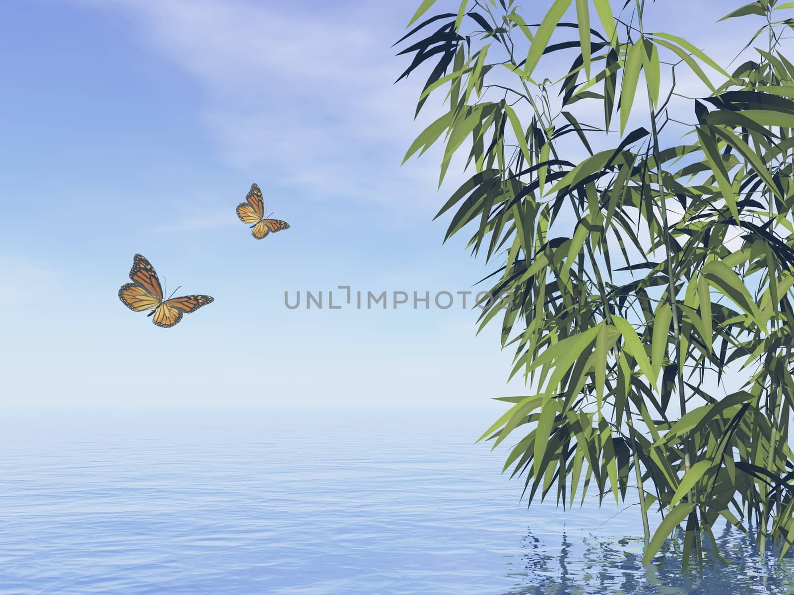 Butterflies and bamboos upon water by day - 3D render