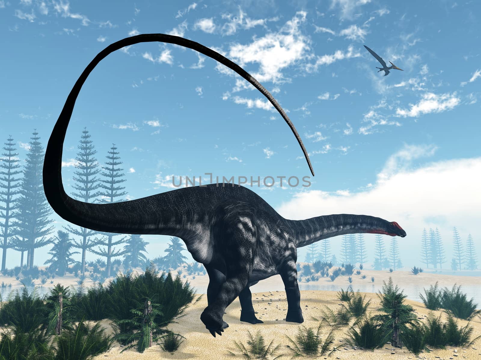 Apatosaurus dinosaur walking in the desert with calamite and onychiopsis plants by day - 3D render