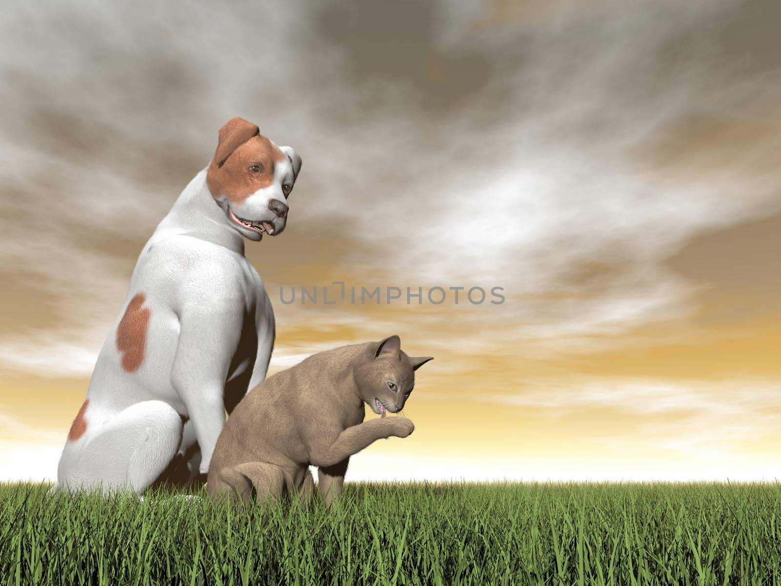 Parsons dog and abyssin cat friendship by sunset - 3D render
