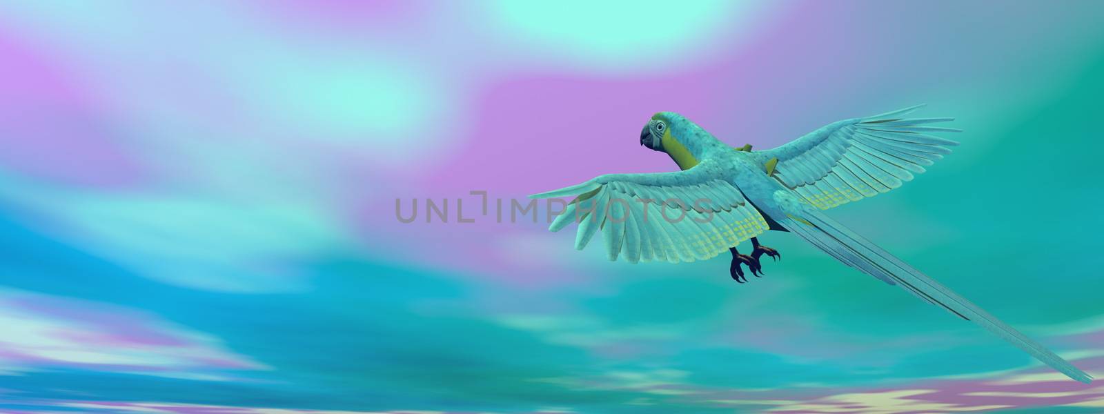 Military macaw, parrot, flying - 3D render by Elenaphotos21