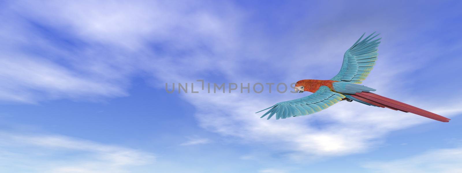 Scarlet macaw, parrot, flying flying in blue sky - 3D render