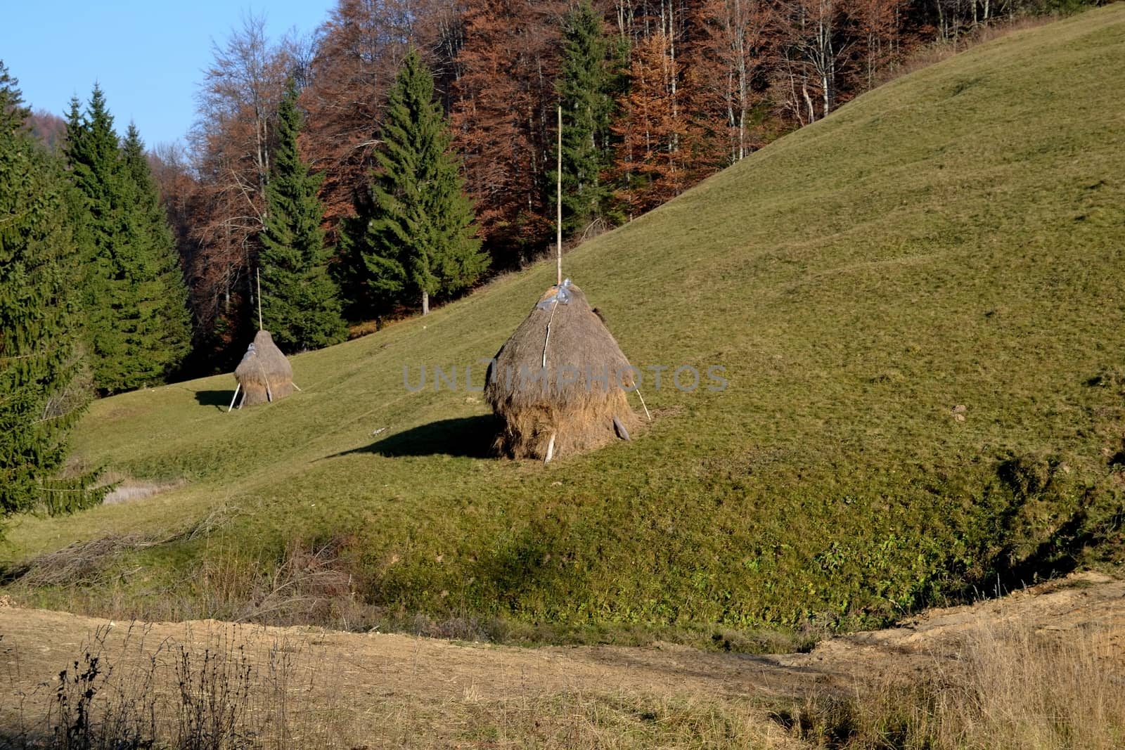 Animal herbs to dry for winter.
Summer mountain farmers make hay supplies for livestock