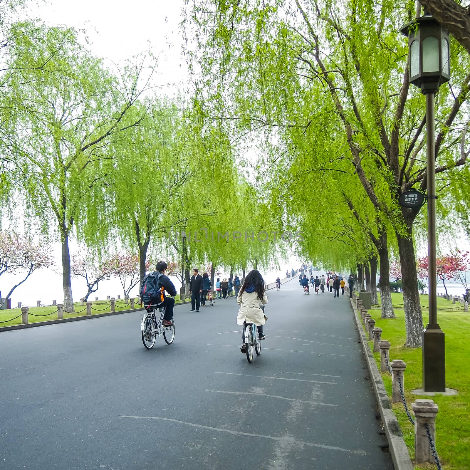 HANGZHOU, CHINA - April 13, 2011 : View in the mist of Xihu, the west lake in hangzhou china, this is image of Chinese couple cycling ,ride the bike in the park